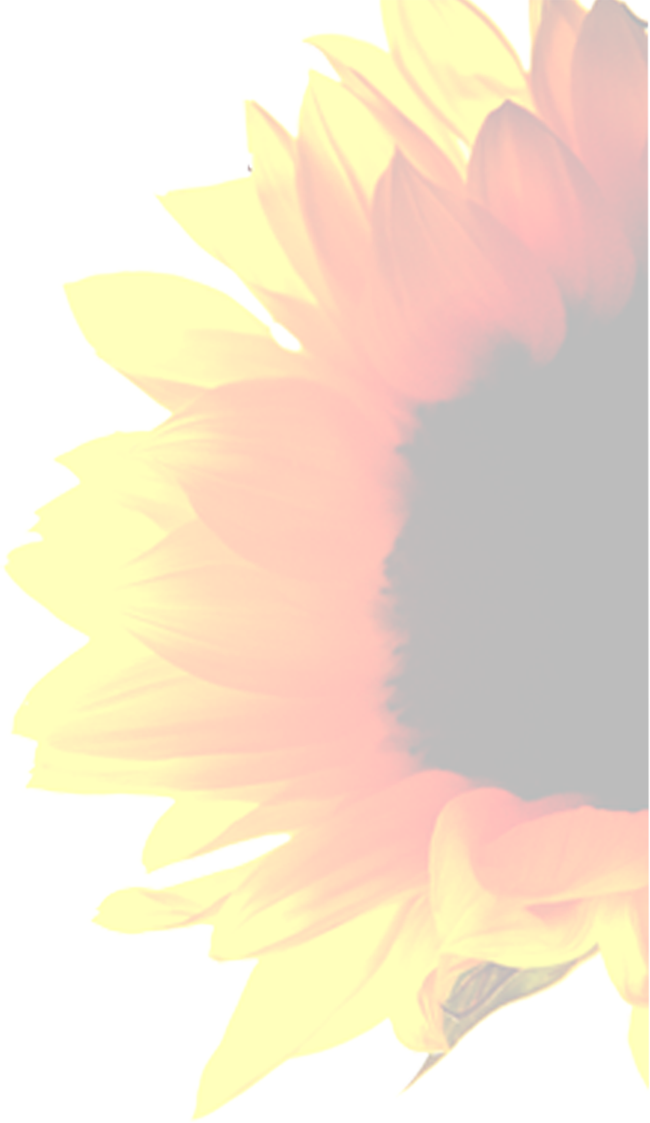 Right Side Sunflower